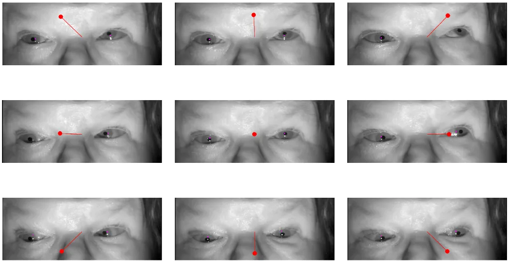 Positions cardinales du regard.webp